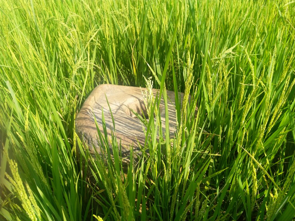 Grinding stone used by construction workers