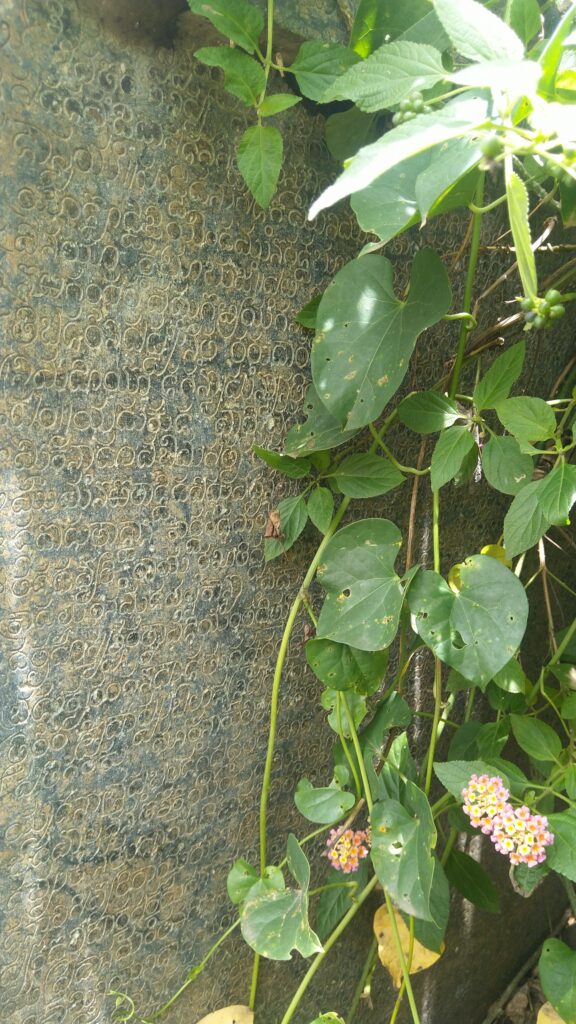 Inscription covered by shrubs